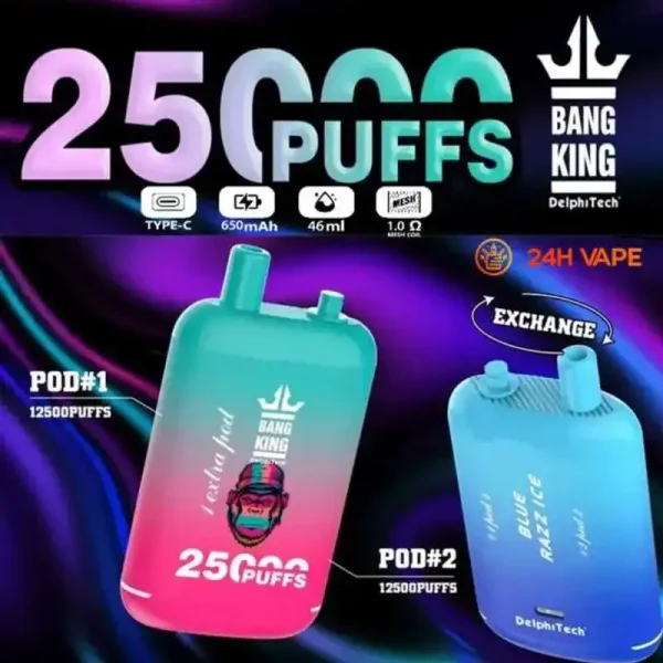 Bang King 25K 25000 Puffs Dual Pods 46ml E-liquid 0% 2% 3% 5% Nicotine Type-C Charging Disposable Vape 27 Bang King 25000 puff Disposable Vape 25k Dual Pods