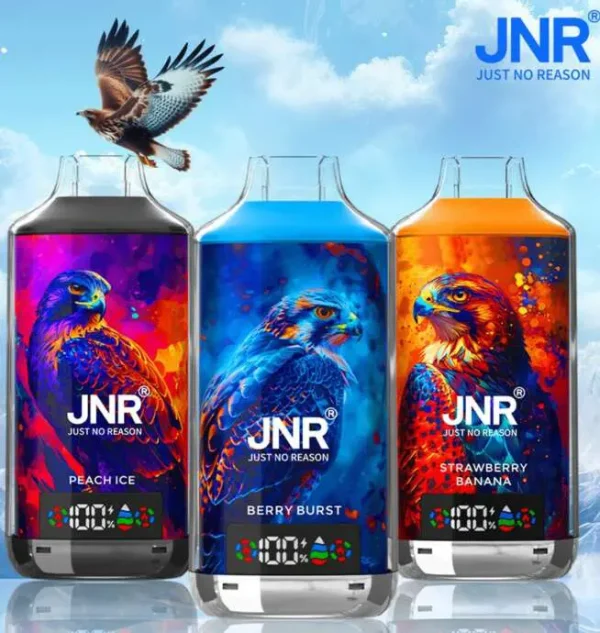 JNR Falcon X 18K (18000) Puffs LED Display 2% Nicotine 24ml E-liquid Disposable Vape 1 JNR Falcon X 18K (18000) Puffs LED Display 2% Nicotine 24ml E-liquid Disposable Vape