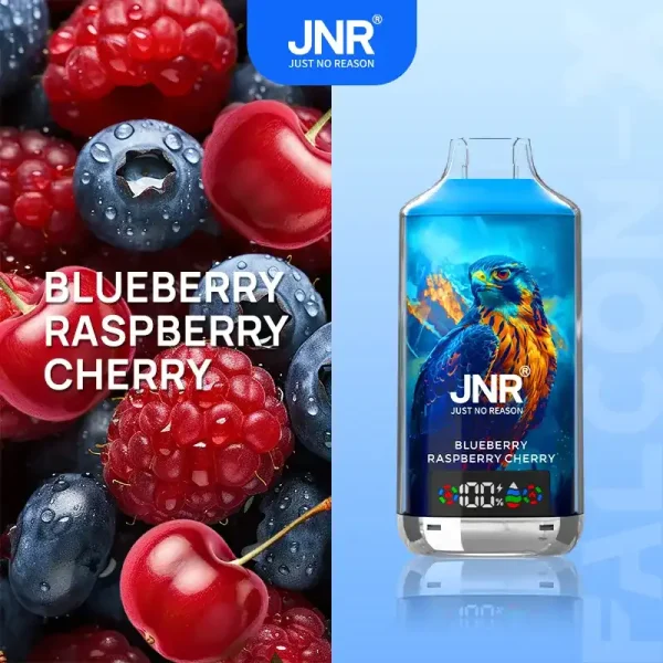 JNR Falcon X 18K (18000) Puffs LED Display 2% Nicotine 24ml E-liquid Disposable Vape 5 JNR Falcon X 18K (18000) Puffs LED Display 2% Nicotine 24ml E-liquid Disposable Vape