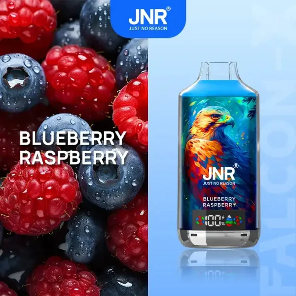 JNR Falcon X 18K (18000) Puffs LED Display 2% Nicotine 24ml E-liquid Disposable Vape 6 JNR Falcon X 18K (18000) Puffs LED Display 2% Nicotine 24ml E-liquid Disposable Vape