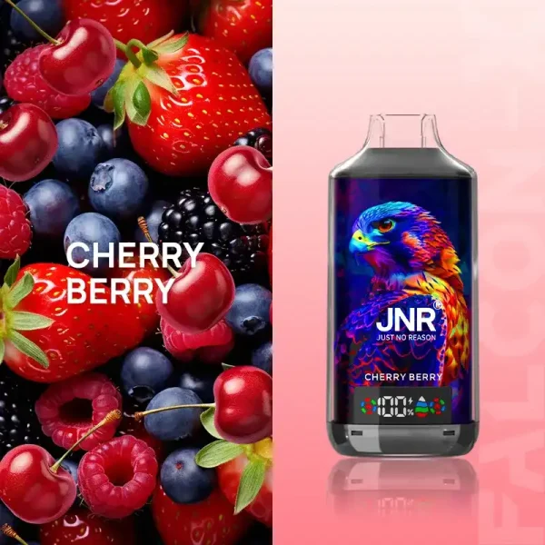 JNR Falcon X 18K (18000) Puffs LED Display 2% Nicotine 24ml E-liquid Disposable Vape 9 JNR Falcon X 18K (18000) Puffs LED Display 2% Nicotine 24ml E-liquid Disposable Vape