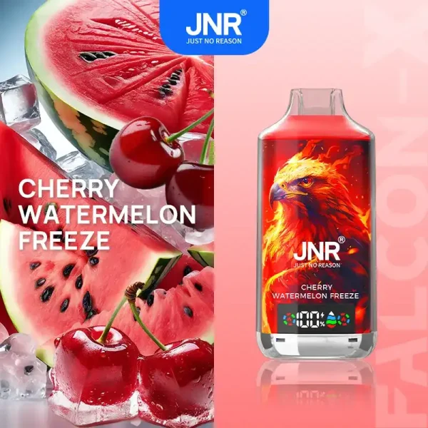 JNR Falcon X 18K (18000) Puffs LED Display 2% Nicotine 24ml E-liquid Disposable Vape 12 JNR Falcon X 18K (18000) Puffs LED Display 2% Nicotine 24ml E-liquid Disposable Vape