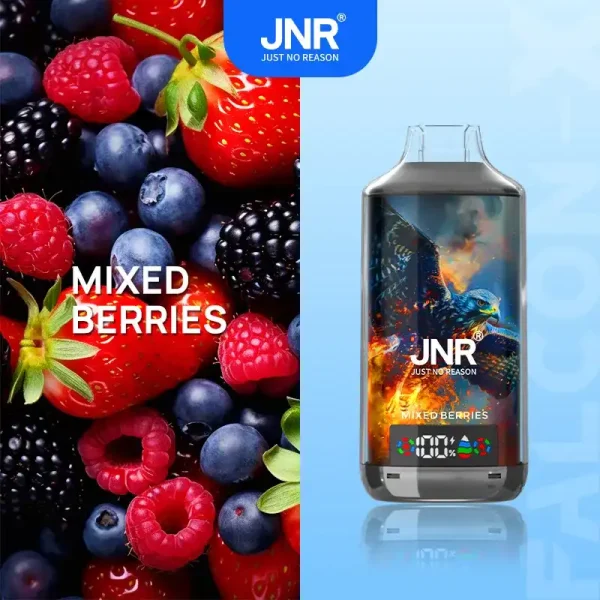 JNR Falcon X 18K (18000) Puffs LED Display 2% Nicotine 24ml E-liquid Disposable Vape 17 JNR Falcon X 18K (18000) Puffs LED Display 2% Nicotine 24ml E-liquid Disposable Vape