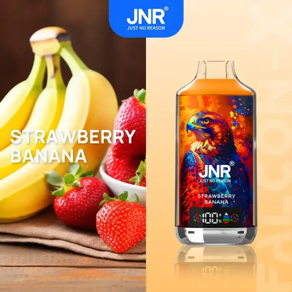 JNR Falcon X 18K (18000) Puffs LED Display 2% Nicotine 24ml E-liquid Disposable Vape 23 JNR Falcon X 18K (18000) Puffs LED Display 2% Nicotine 24ml E-liquid Disposable Vape
