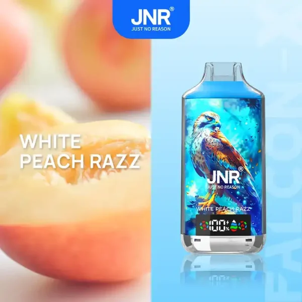 JNR Falcon X 18K (18000) Puffs LED Display 2% Nicotine 24ml E-liquid Disposable Vape 31 JNR Falcon X 18K (18000) Puffs LED Display 2% Nicotine 24ml E-liquid Disposable Vape
