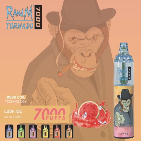 RandM Tornado 7K (7000) Puffs 14ml E-liquid 850mAh Battery 2% 5% Nicotine Rechargeable (type-C) Disposable Vape 15 RandM Tornado 7K (7000) Puffs 14ml E-liquid 850mAh Battery 2% 5% Nicotine Rechargeable (type-C) Disposable Vape